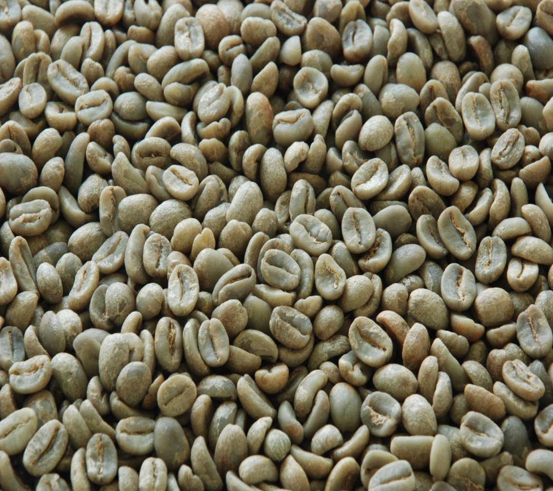 Café oro, seleccionados por tamaño, peso, color para obtener granos de la mas alta calidad